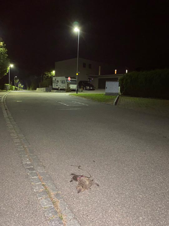 Unachtsamkeit tötet (Leserbrief)