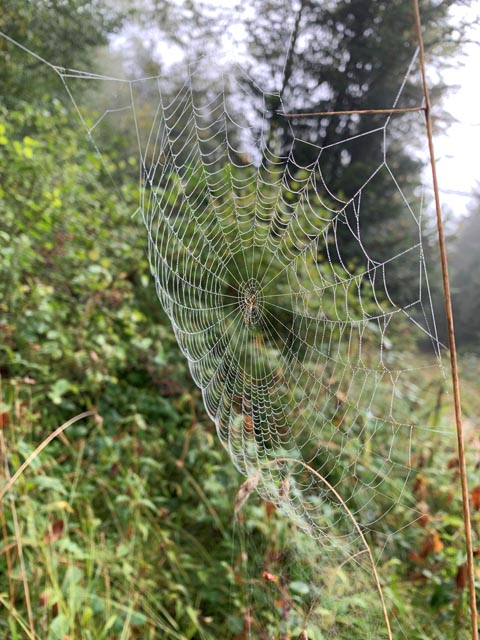 Foto: Margrit Freudemann, Kaisten