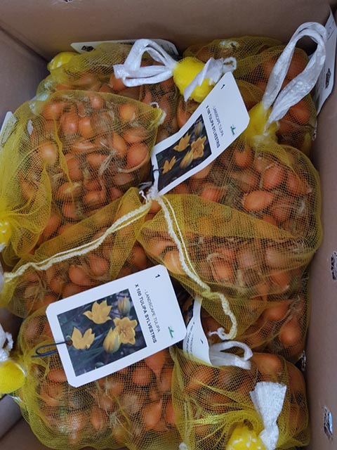 Foto: Benno Zimmermann