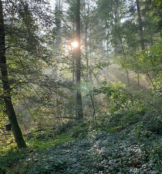 Foto: Margrit Freudemann, Kaisten