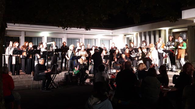  Die Projektchöre sangen unter anderem "Hakuna Matata" aus dem Musical „Lion King". Foto: zVg