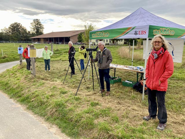 Die Mitglieder vom Natur- und Vogelschutz Möhlin zählten feissig Zugvögel, die eine gefährliche Reise vor sich haben. Foto: zVg