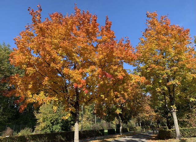 Foto: Margrit Freudemann