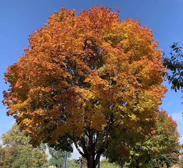 Foto: Margrit Freudemann