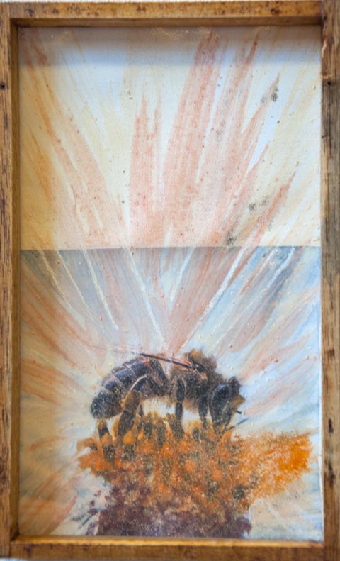 Die Ausstellung der Bilder von Doris Horvath im reformierten Gemeindehaus Kaiseraugst endet mit dem Gottesdienst am 3. Oktober. Foto: zVg