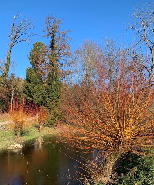 Foto: Margrit Freudemann