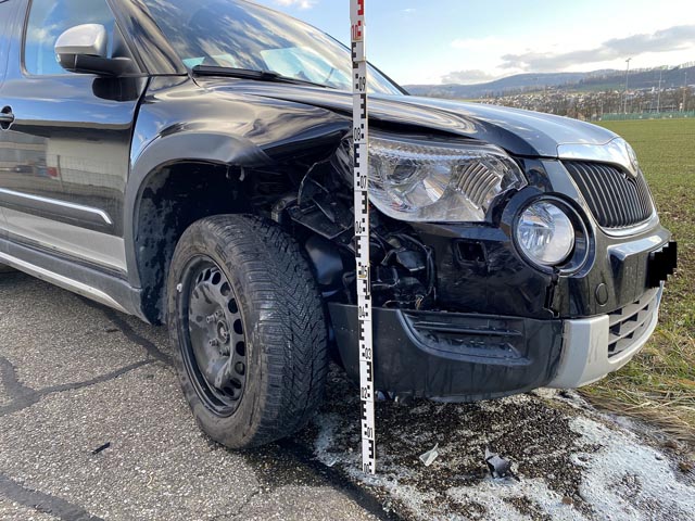 Eine Katze, die auf die Fhrbahn lief, löste in Aesch einen Selbstunfall mit erheblichem Sachschaden aus. Fotos: Polizei