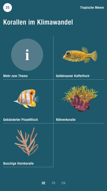 Die neuen Touchscreens bieten detaillierte Informationen zu den Tieren und ihren Lebensräumen sowie zu Aktualitäten. Foto: Zoo Basel
