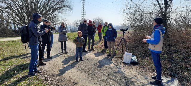 Entenkunde am Klingauer Stausee für die NVR-Mitglieder. Foto: zVg