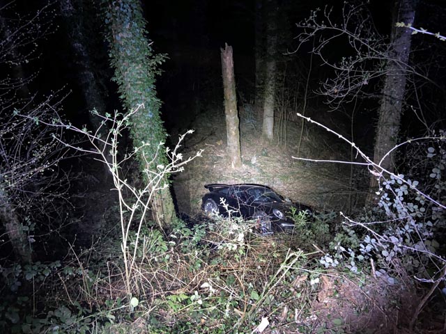 Aus dem Kauf des Porsches dürfte nach dem Selbstunfall während der Probefahrt wohl nichts mehr werden. Foto: Polizei