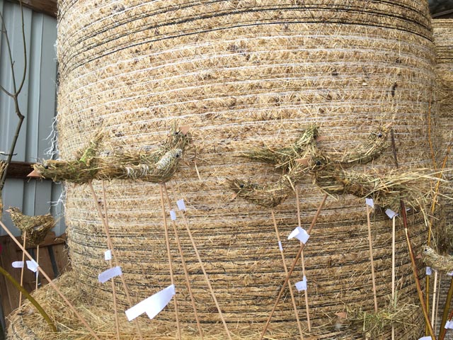 Aus Heu bastelten die Kinder originelle Feldlerchen. Foto: zvg