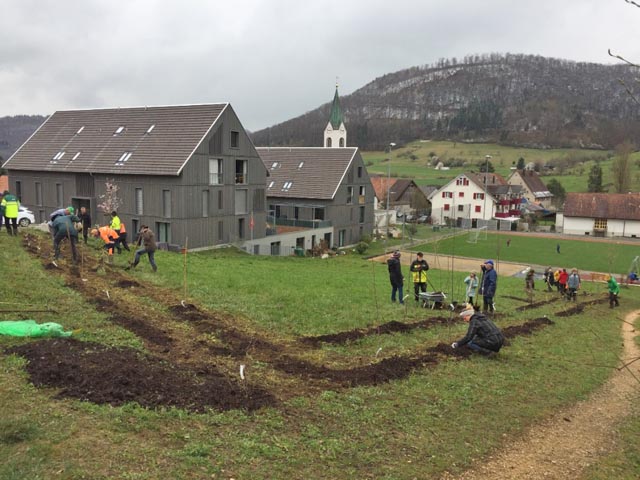 Wenn viele Hände helfen, ist die Arbeit rasch erledigt. Foto: Else Bünemann-König
