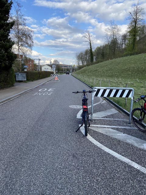 Der E-Bike-Fahrer verletzte sich nach dem Selbstunfall schwer. Foto: Polizei BL