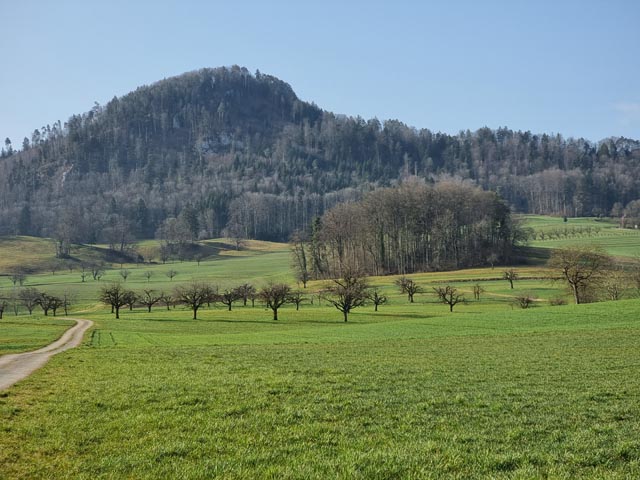 Hier wurde der Gartenschläfer entdeckt. Strukturreiche Landschaft Büsserach. Foto: Thomas Briner