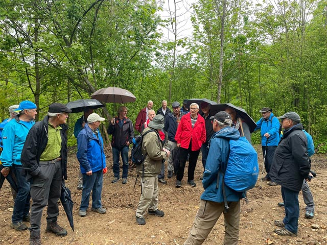 Auch im Regen unterwegs: die Turnveteranen Vereinigung Fricktal. Foto: zVg