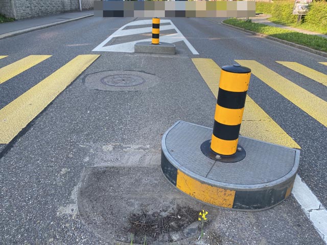 Ohne sich um den entstandenen Sachschaden zu kümmern, fuhr der Rollerfahrer weiter. Foto: Polizei AG