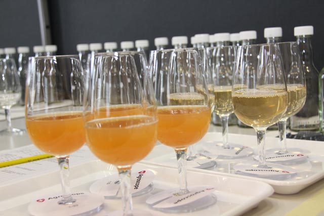 Foto: © Daniela Clemenz