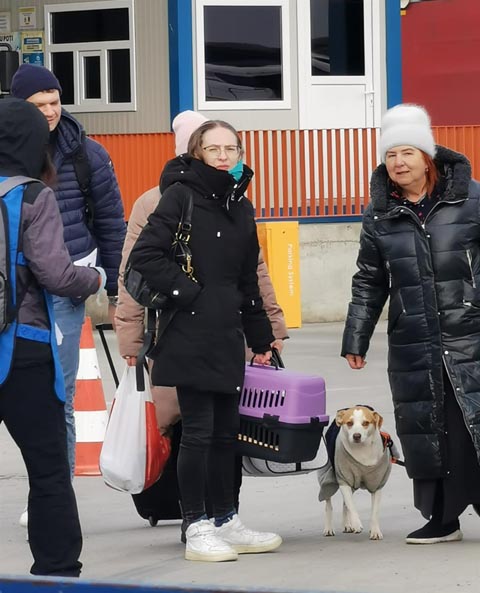 SUST an der Grenze - Isaccea (RO): Die Schweizer Organisation ermöglichte ihren grenznahen Partnern Material- und Futterlieferungen für Flüchtende mit Tieren (z.B. Transportboxen, Leinen, etc). Foto: «Save The Dogs and other Animals» Cernavoda, Rumänien