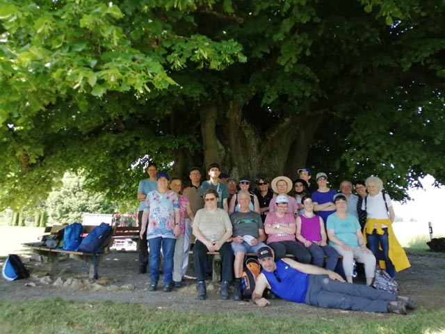 Gruppenfoto unter der Linde: Die Teilnehmer der Insieme-Wanderung genossen den Tag. Foto: zVg