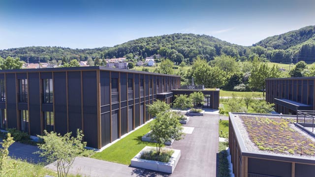 Widacher Stein. Foto: zVg