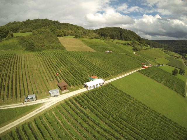 9. Wessenberger Wy-Fest in Hottwil:  Nach vierjähriger (Zwangs-) Pause lädt der Rebbauverein Hottwil wieder ein