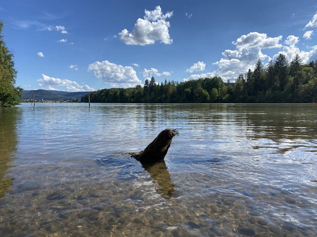 Beobachtet: Seehund oder Sinnestäuschung?