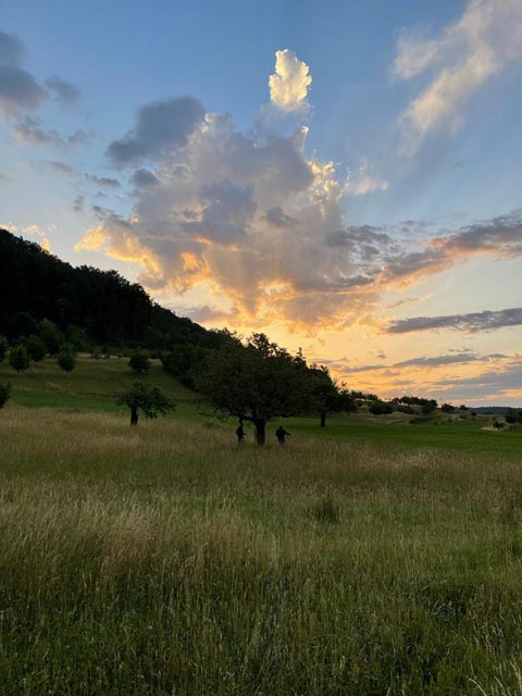 Stimmungsbild während der Rehkitzrettung . Foto: zVg