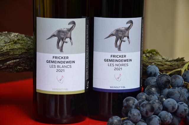 Der neue Gemeindewein. Foto: FiBL, Andreas Basler