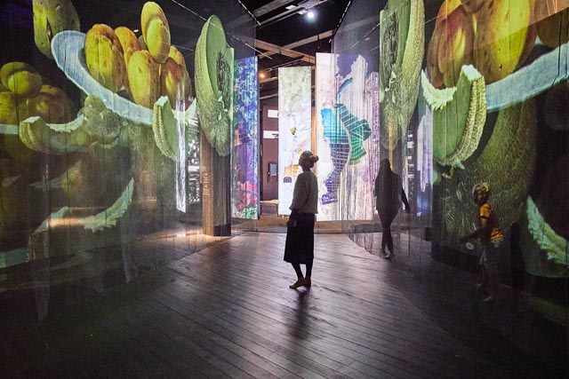 Einblick in die Ausstellung. Foto: Stapferhaus/Anita Affentranger