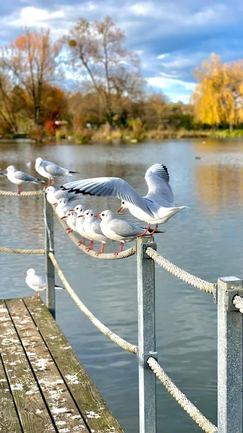«Männer, alles hört auf mein Kommando!» Foto: Nicole Hübner 