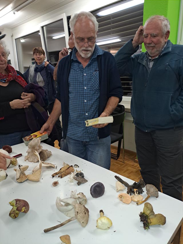 Benno Zimmermann wusste viel Interessantes zum Thema Pilze zu berichten. Foto: zVg