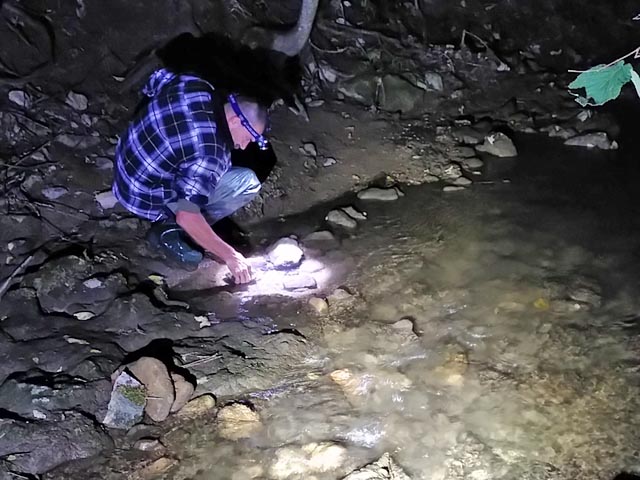 Krebskartierung mit Freiwilligen.   Foto: © Kanton Aargau/BVU