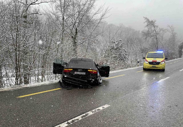 Selbstunfall in Gansingen. Foto: Polizei AG