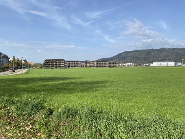 Hier, im Gebiet Neumatt Ost in Stein, wird dereinst die neue Mittelschule gebaut. Foto: Sonja Fasler