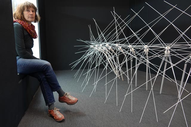 Anna Schmid stellt ihre Werke im Rehmann-Museum aus. Foto: Peter Schütz