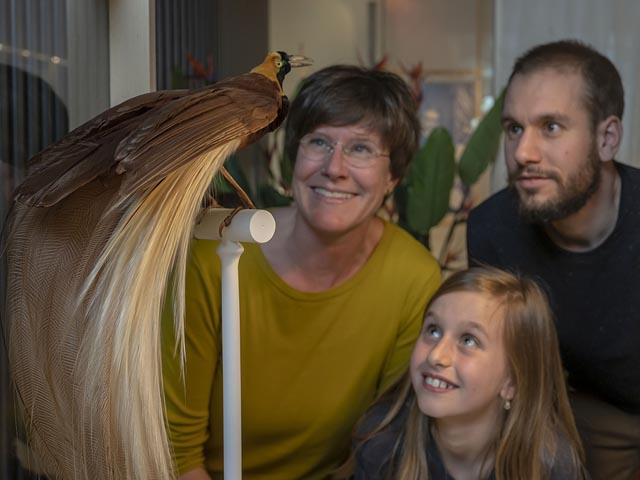 Foto: Georgios Kefalas © Museum.BL