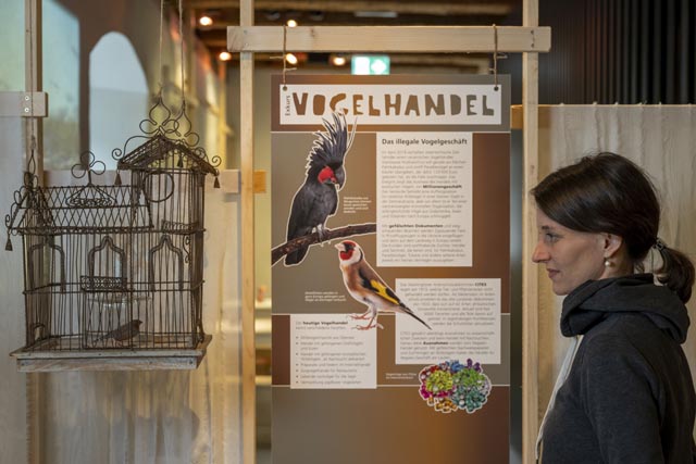 Foto: Georgios Kefalas © Museum.BL