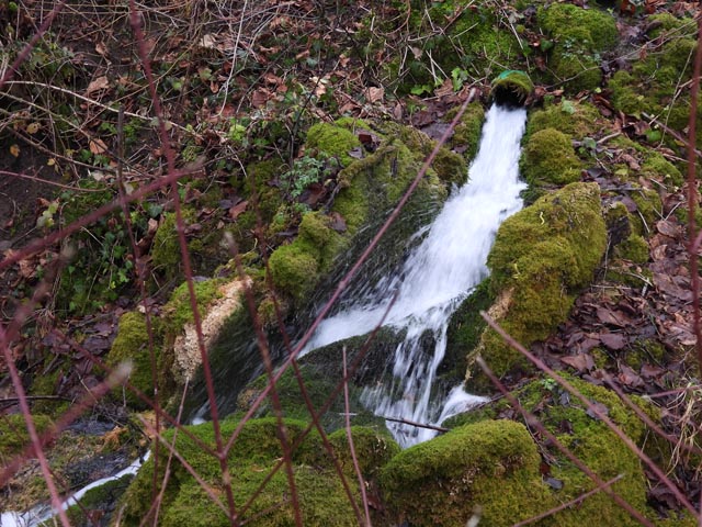 Juraquell der Wasserversorgung im Benkental, Überlauf am Pilgerbach. Foto: zVg