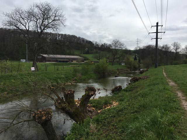 «Die Wurzelstöcke und Buhnen fördern die Strukturvielfalt und bieten Fischen und anderen Wasserorganismen Rückzugsmöglichkeiten», sagte Regula Bachmann-Steiner, Vorstandsmitglied des WWF Aargau, anlässlich des Einweihungsfests am Samstag. Fotos: WWF Aargau