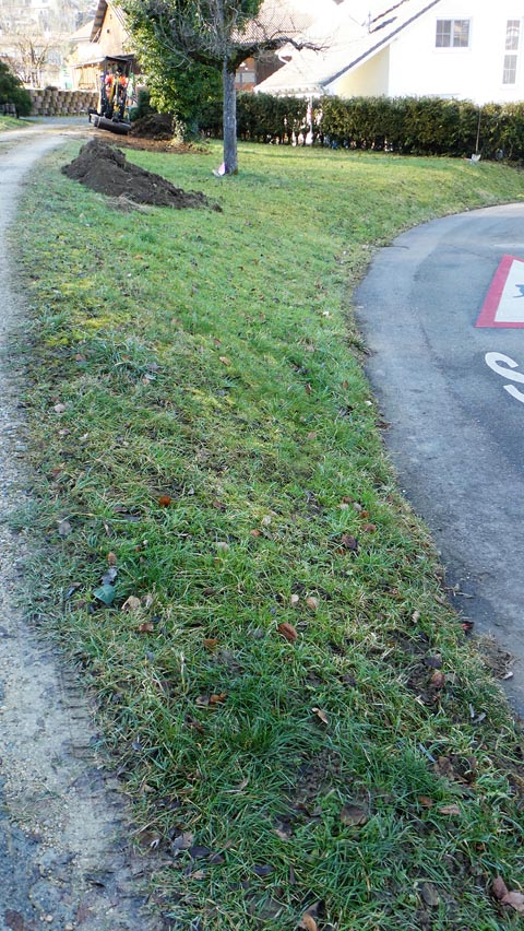 Aus dem unbedeutenden Fleck Land wurde ein naturnaher Garten. Foto: zVg