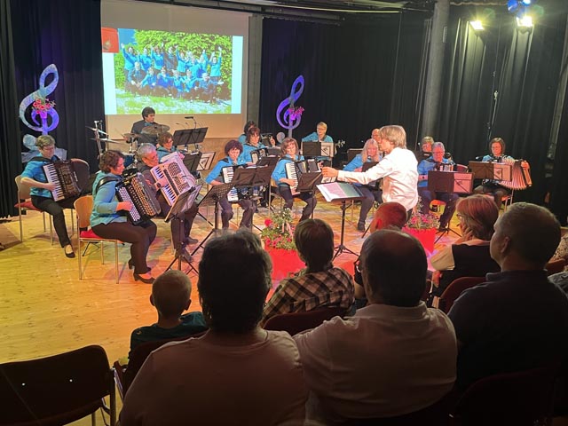 Das Harmonika-Orchester Möhlin. Foto: zVg