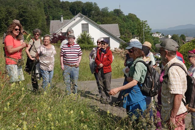 Die Exkursionsleiterin Maja Vogt wusste viel Spannendes über Wildpflanzen zu berichten. Foto: Urs Kägi