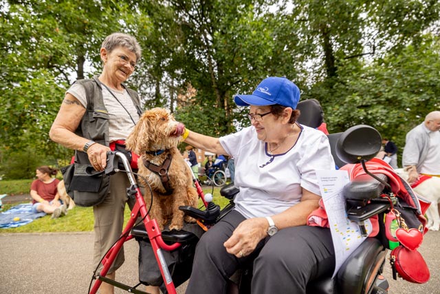 Sport, Spiel und Spass am 20. Patienten-Sport- und Spielfest der Reha Rheinfelden. Foto: zVg