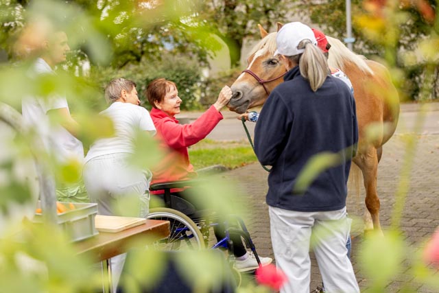 Sport, Spiel und Spass am 20. Patienten-Sport- und Spielfest der Reha Rheinfelden. Foto: zVg