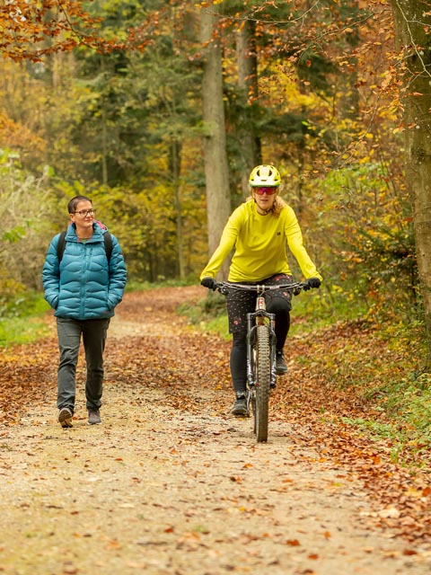 Velofahren im Wald. Foto: Departement Bau, Verkehr und Umwelt
