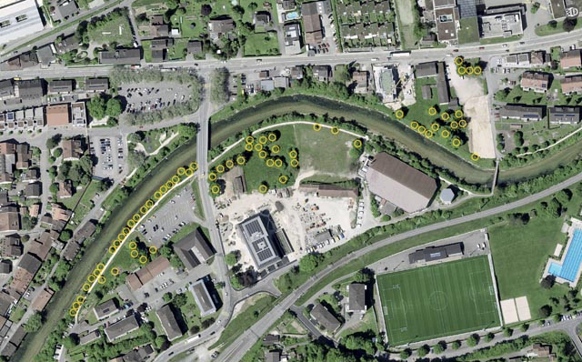 Betroffene Standorte, wo Bäume gefällt werden müssen. Foto: bud