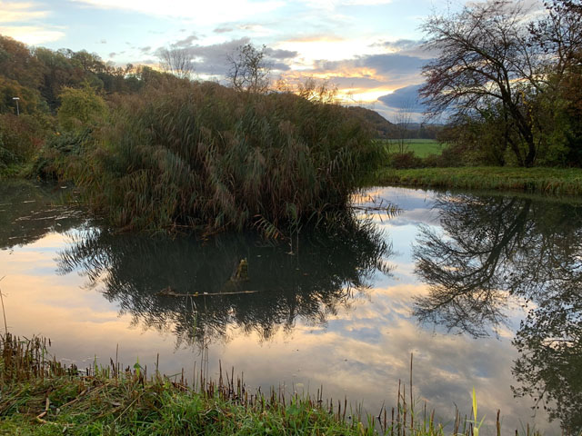 Foto: Margrit Freudemann, Kaisten