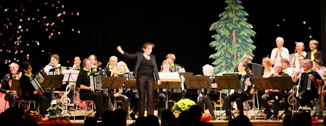 Konzert des Akkordeonorchesters Frick. Foto: Markus Schraner 