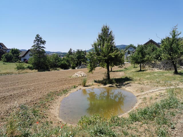 Weiherbau durch Frank Möri und fertiger Weiher. Foto: © Jurapark Aargau