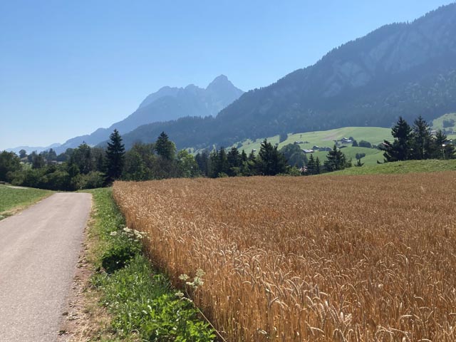 Berg- und Talfahrten prägten das Landwirtschaftsjahr 2023. Foto: zVg